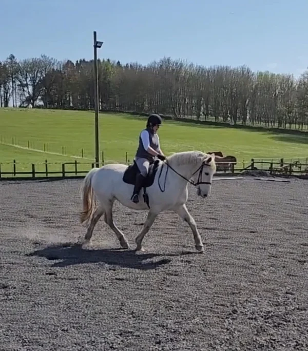 Newton_of_Straloch_livery_hacking-aberdeenshire-facilities